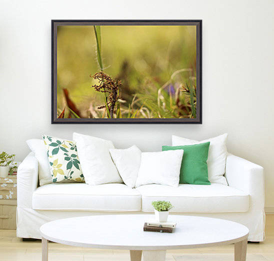 Seedless Time  by IsabelVictoria