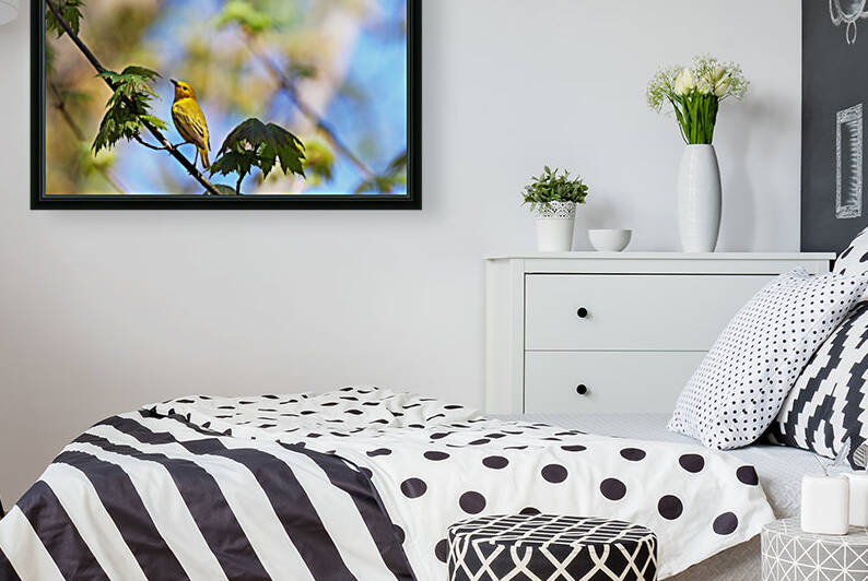 Yellow Warbler In Maple Tree by Deb Oppermann