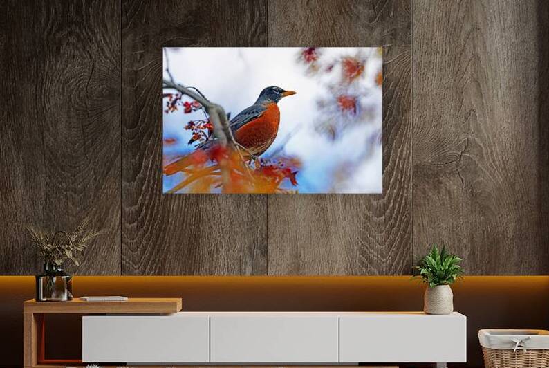 Spring Robin by Deb Oppermann
