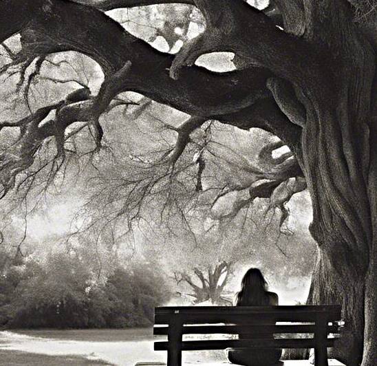 vie dune arbre by Mixing colors on a lake a mountain a stork in the sky
