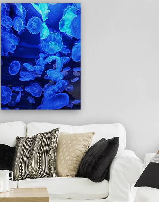 Jellyfish Blue  by Adam Copp