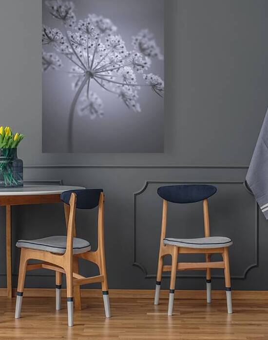 Cow Parsley by Assaf Frank