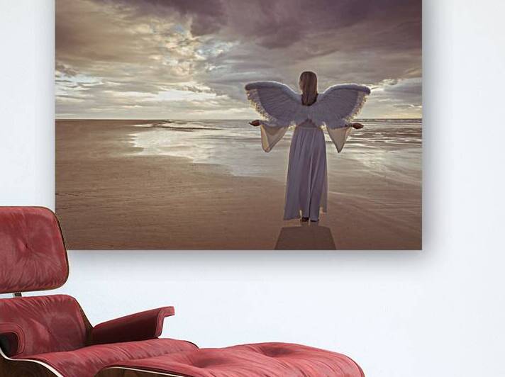 Sea Angel by Assaf Frank