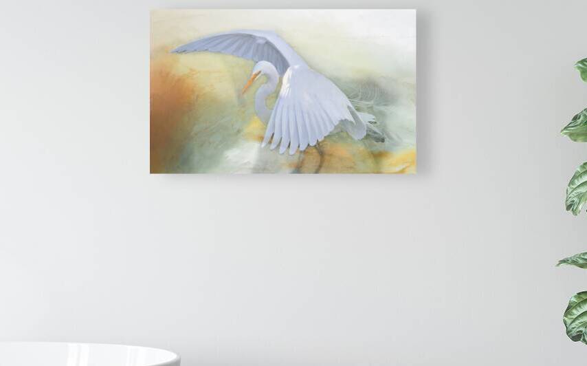 Imminent  White Egret Flight by Norma Brandsberg Photography