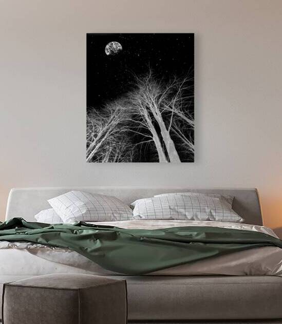 Bright on Black by Le Boulanger