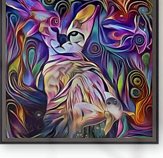 Kitty by Bruce Rolff