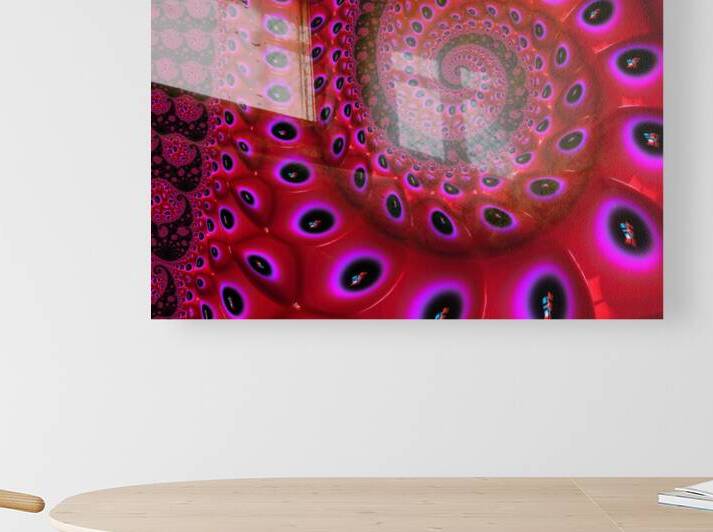 Snail Fossil by Shea Michaels