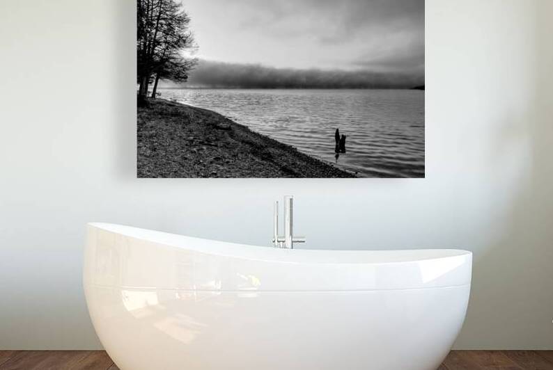 Tree Stump Snap By The Shoreline Grayscale by Jennifer White