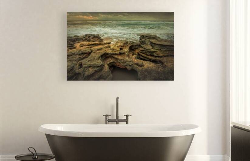 Florida Seaside Coquina Textures by Norma Brandsberg Photography