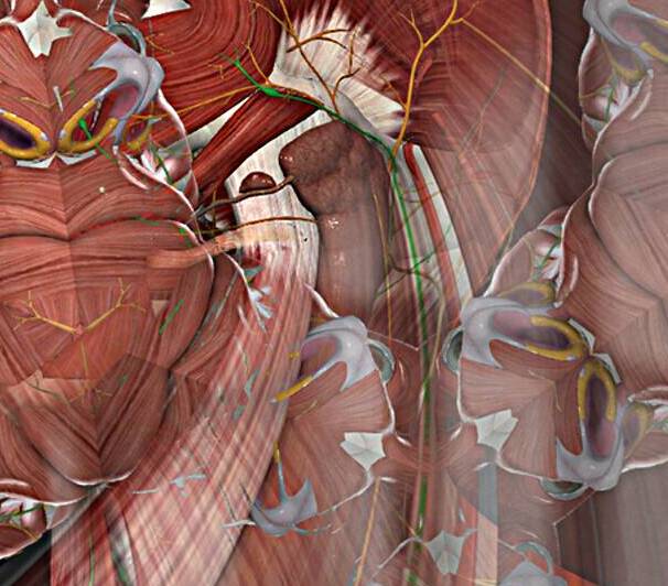  Muscle man has replaced his face by Shea Michaels