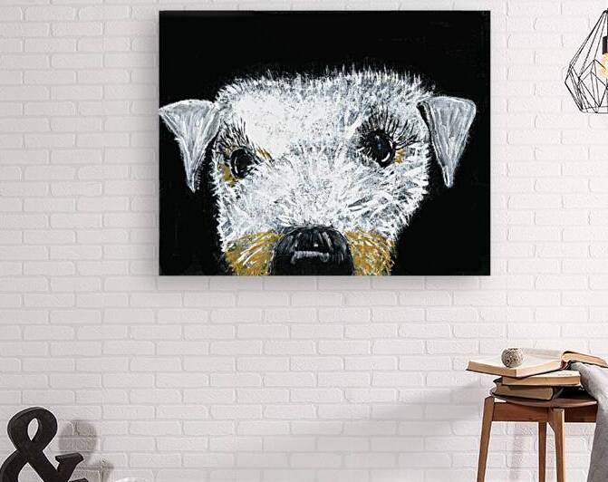 Schnauzer portrait by Robert Burton