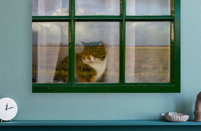 The Windmill Window Cat by Norma Brandsberg Photography