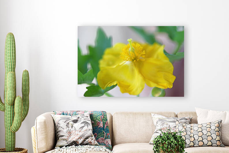 Wood Poppy by Deb Oppermann