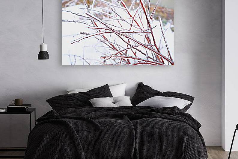 Cerne by Sylvain Martin