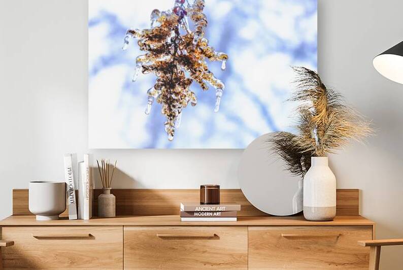 Emprisonne by Sylvain Martin