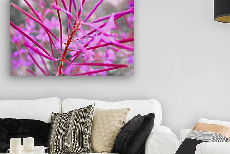 Flore Alpine by Sylvain Martin