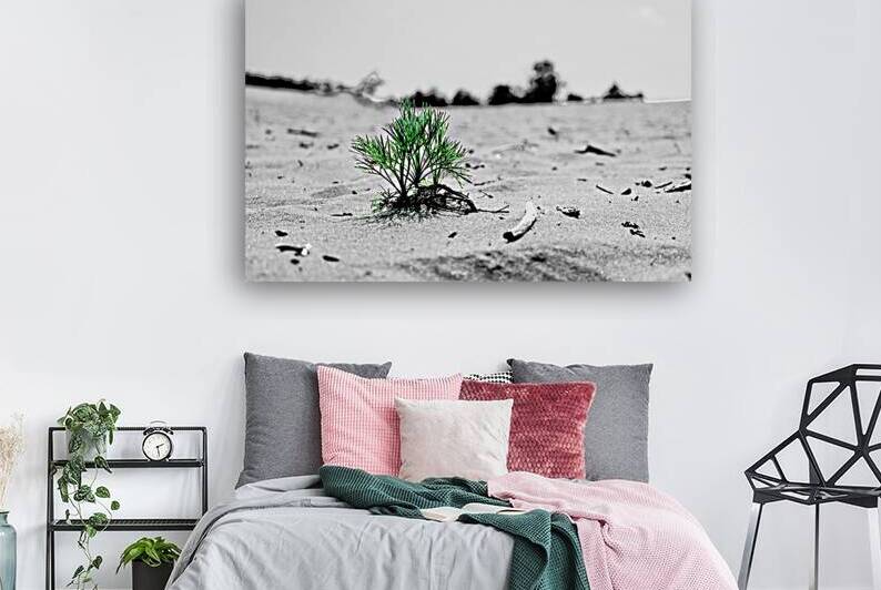 Adaptation by Sylvain Martin