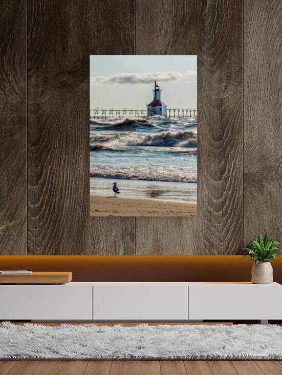 Birds And Waves At St Joseph Lighthouse by Jennifer White