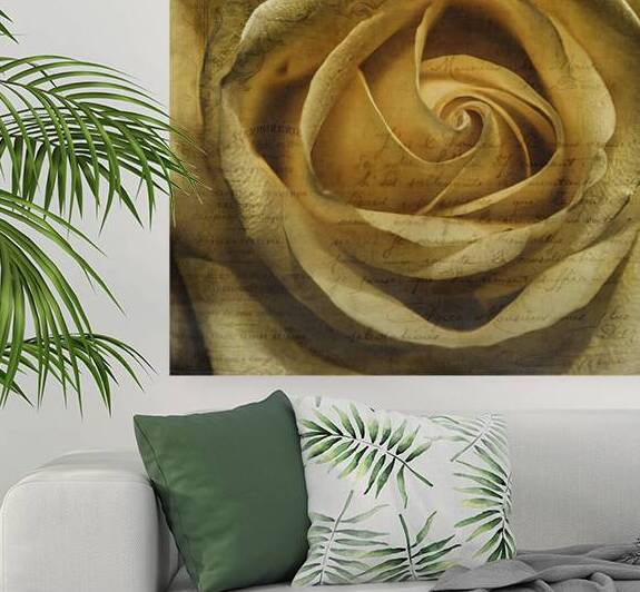 Yellow French Rose by Susan Paradise Burke