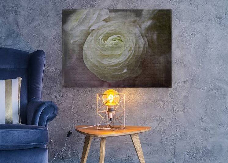 White French Script by Susan Paradise Burke