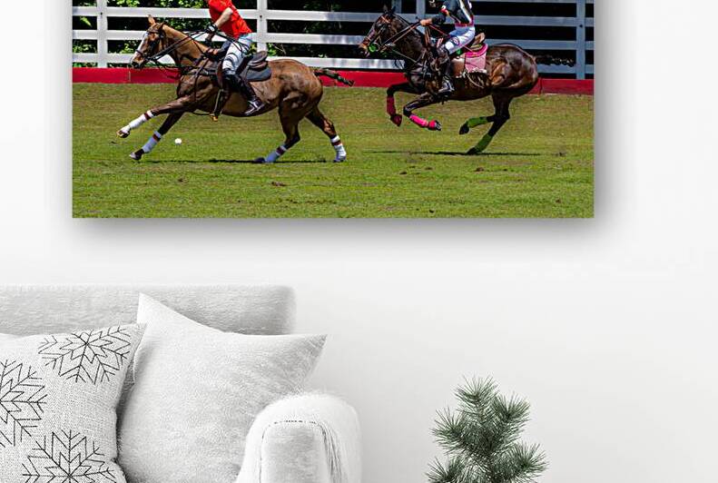 BZ9 2613 Enhanced NR by Susan Lynn Cooke