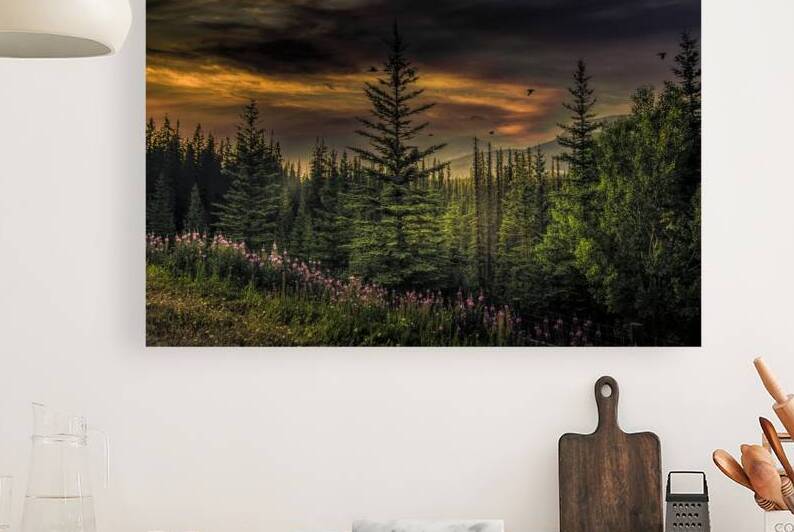 Banff Summer Sunset by Norma Brandsberg Photography