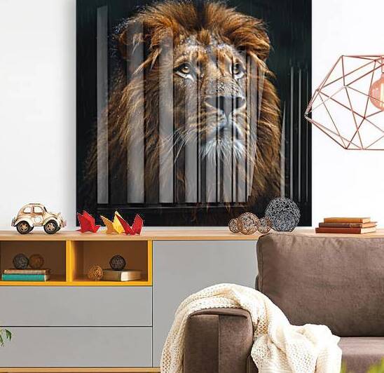 Safari King by rizu_designs