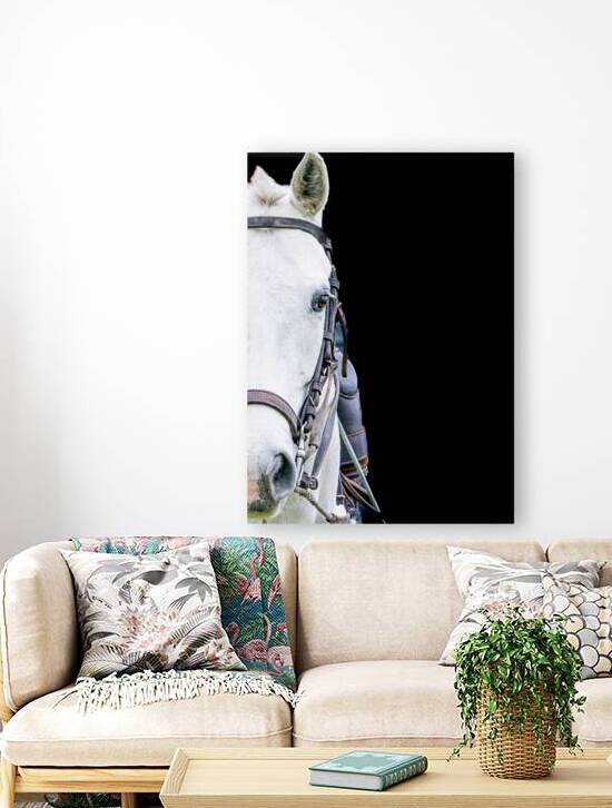 BZ9 9177 Enhanced NR by Susan Lynn Cooke