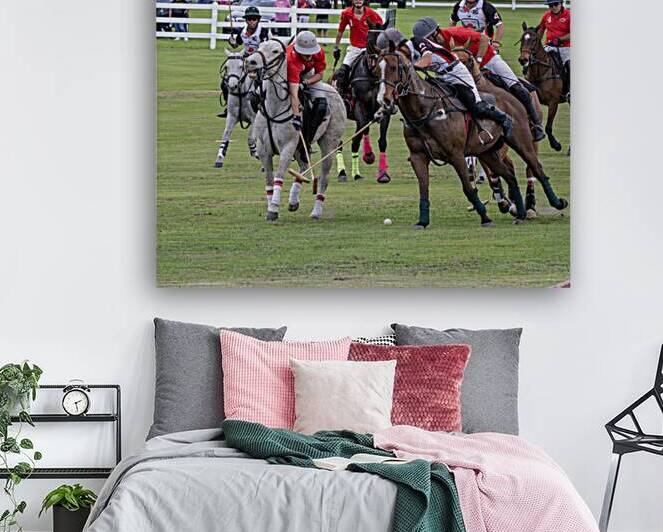 BZ9 9034 Enhanced NR by Susan Lynn Cooke