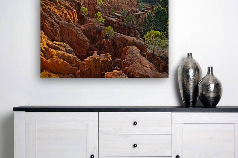 Little Pine Trees Growing on the Valley Cliffs by Angelo DeVal