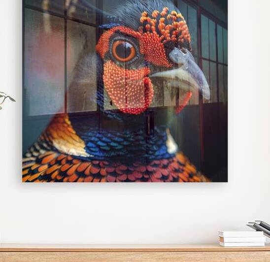 Gaze Pheasant  by rizu_designs