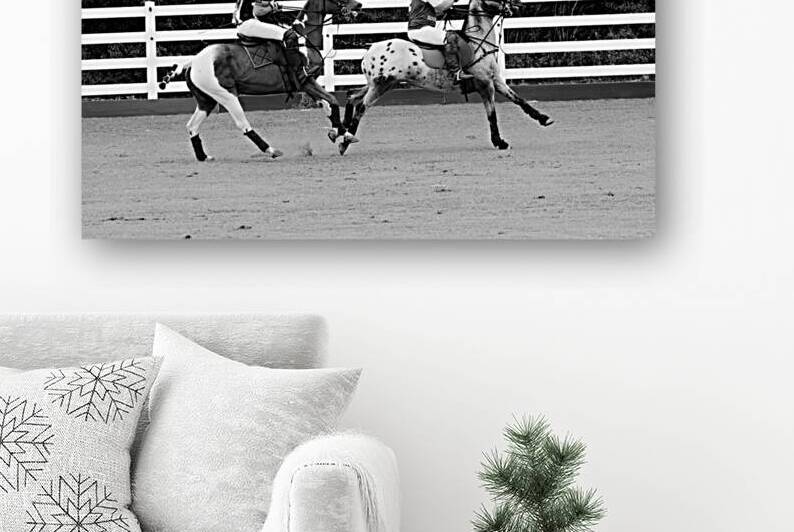 BZ9 9445 Enhanced NR by Susan Lynn Cooke