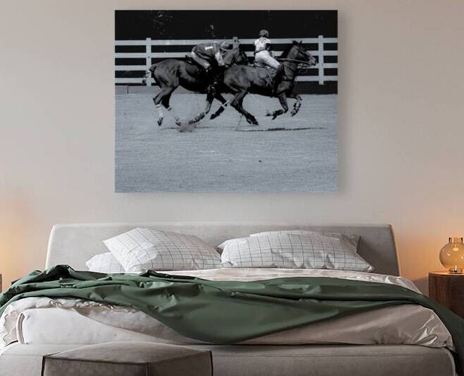 BZ9 5732 Enhanced NR by Susan Lynn Cooke