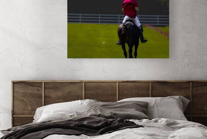 BZ9 9748 Enhanced NR by Susan Lynn Cooke