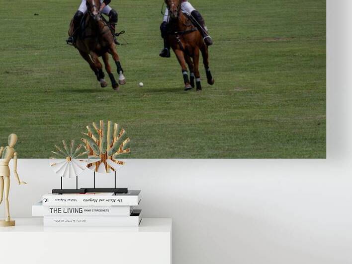 BZ9 9702 Enhanced NR by Susan Lynn Cooke