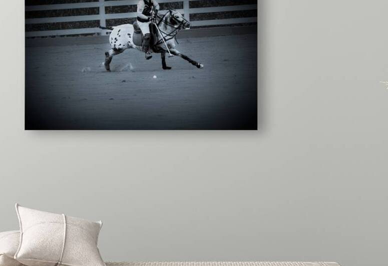 BZ9 9462 Enhanced NR by Susan Lynn Cooke