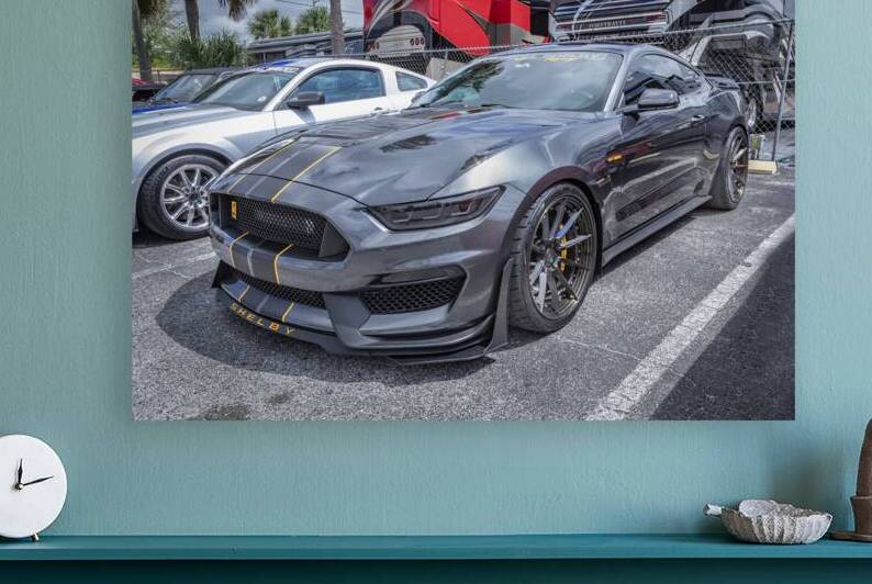 2016 Gray Ford Shelby Mustang GT350 X 1 by Rich Franco