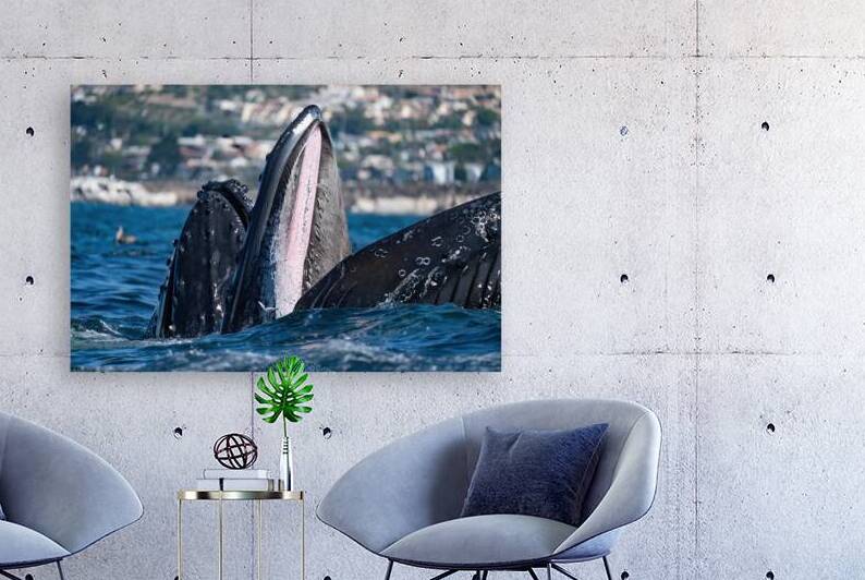 DSC02755 gigapixel art scale 2 00x by dronesey