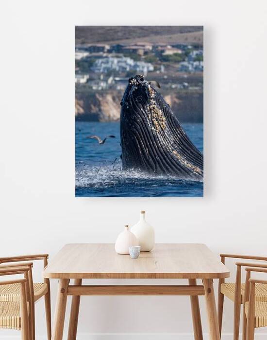 DSC02329 gigapixel art scale 2 00x a by dronesey