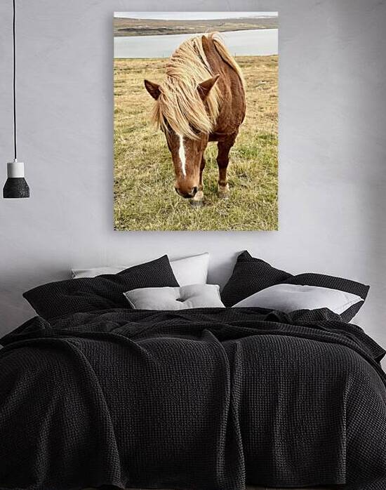 Icelandic Horse Iceland by JJones Arts