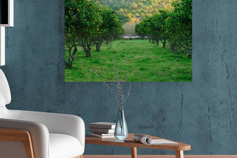 Bucolic Algarve by Angelo DeVal