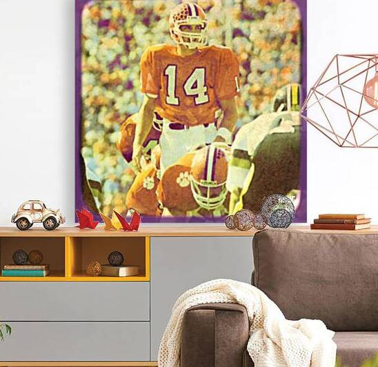 mike eppley clemson football art by Row One Brand