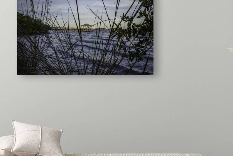 Through the grass by Kai Hoskins