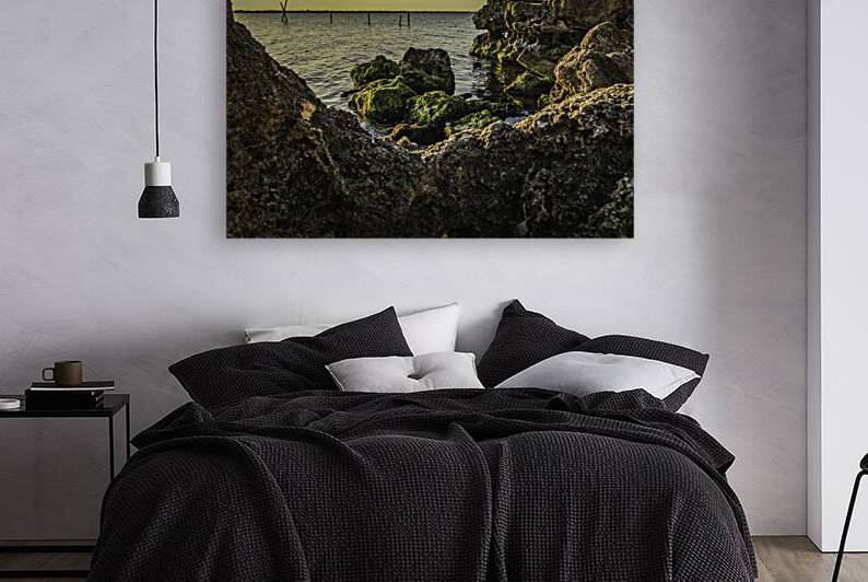 Coquina  by Kai Hoskins