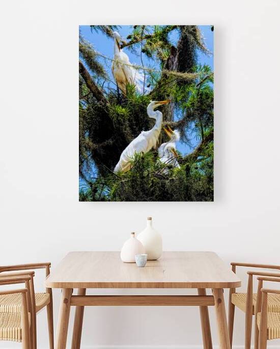 THE EGRET FAMILY by Digicam