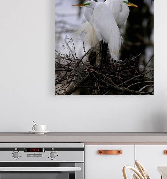 NESTING RITUAL by Digicam