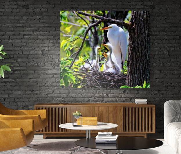 FRAMED BY NATURE by Digicam