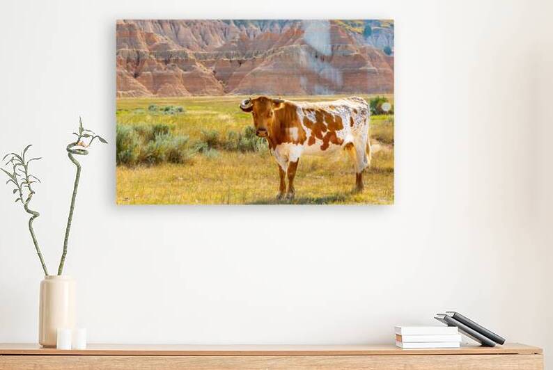 Broken Horn by C R Fine Arts by Branded Exposure LLC