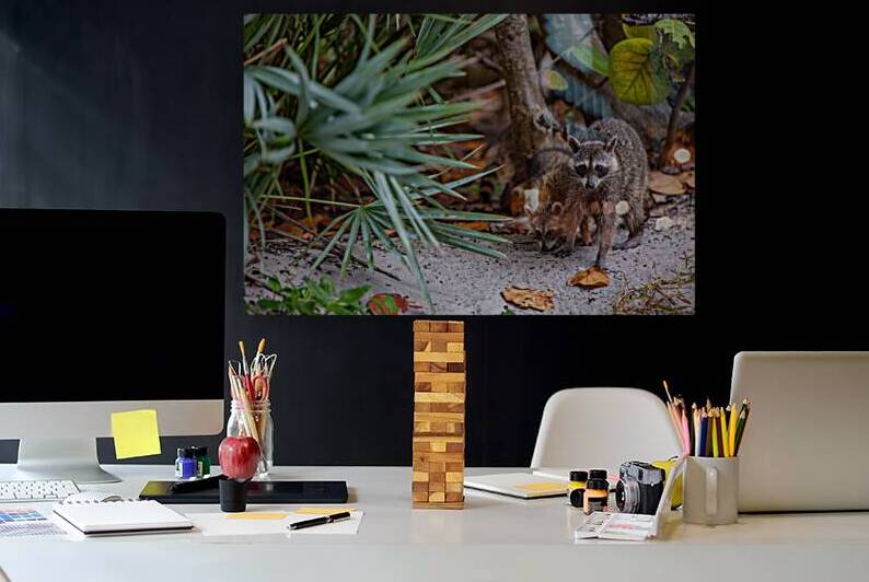 Miami Critters by C R Fine Arts by Branded Exposure LLC