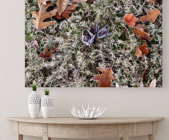 Frosted Fallen Leaves by The NC Geek